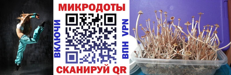 Псилоцибиновые грибы Cubensis  купить наркотик  Ядрин 